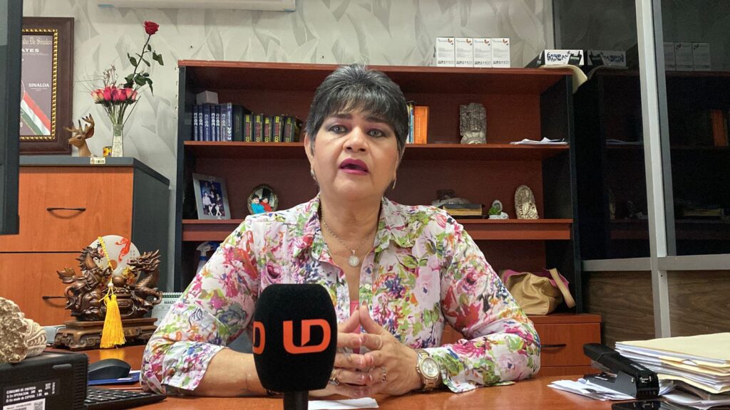 Mónica Nava Castro