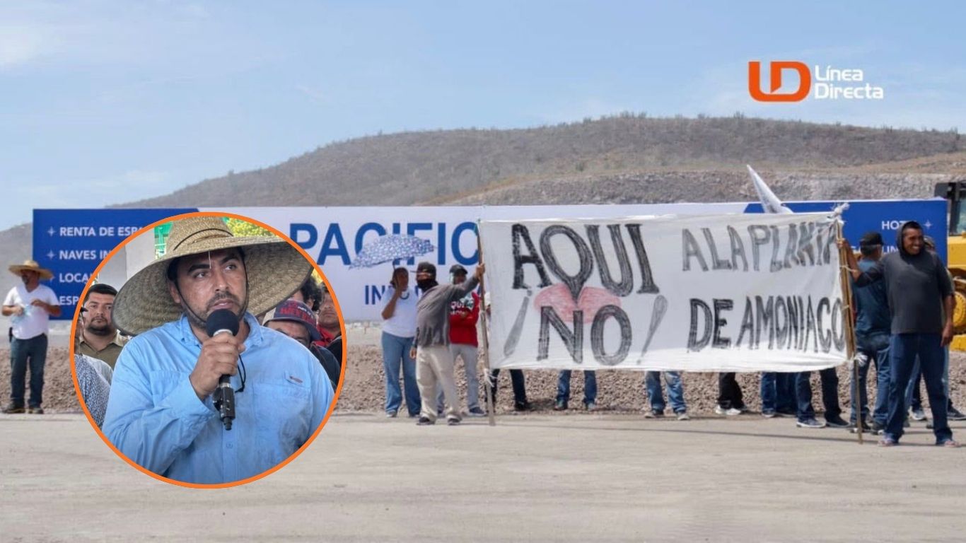 Manifestación