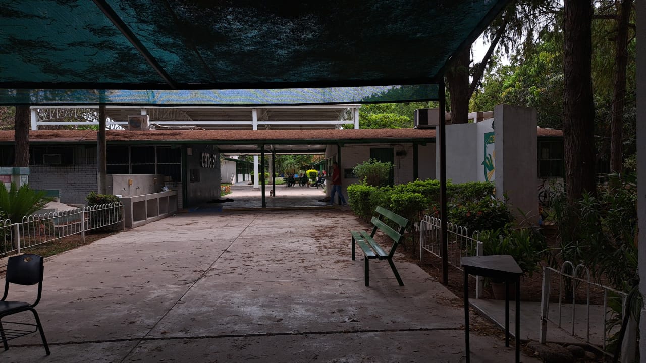 Plantel vacío del (CBTA) 81