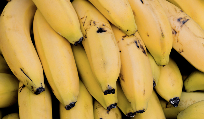 Plátano