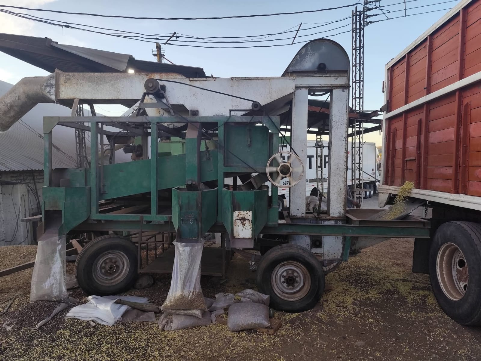 Productores de frijol piden fortalecer políticas para el campo