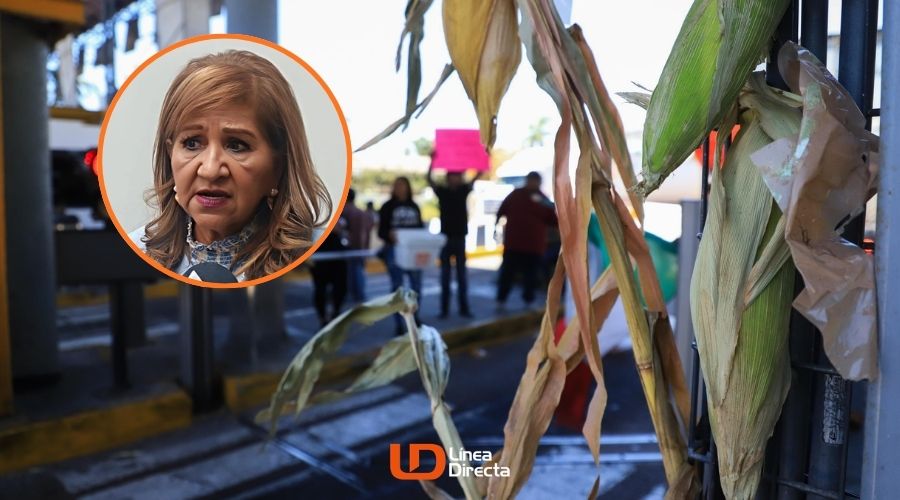 Caseta con un maíz junto a un circulo de Tere Guerra