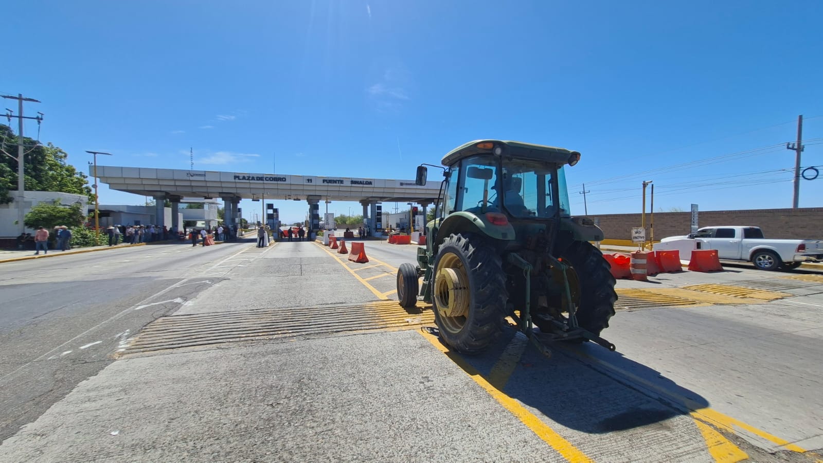 Productores en Guasave están desesperados por falta de soluciones