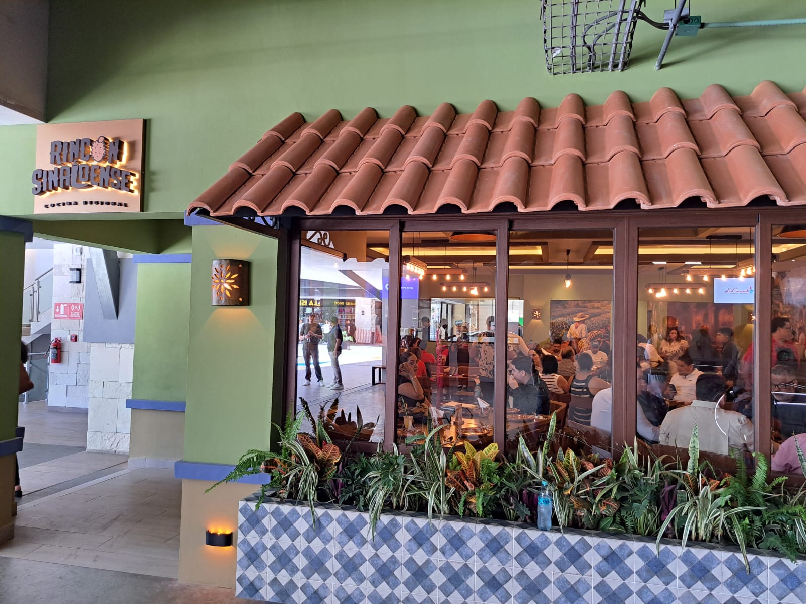 Restaurante Rincón Sinaloense en Mazatlán con plantas y clientes en mesas