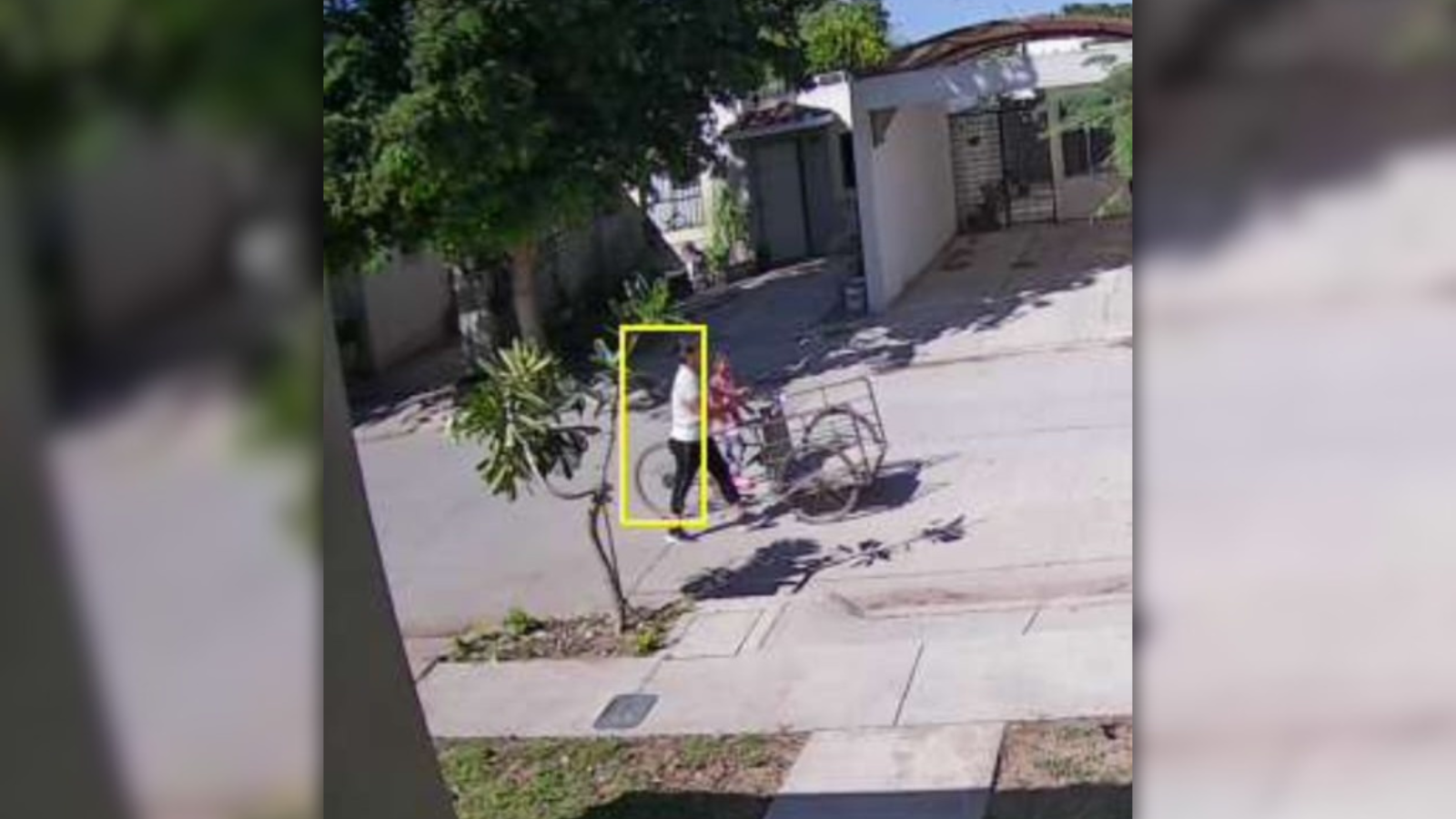 Captan en video a mujer con niños presuntamente robando