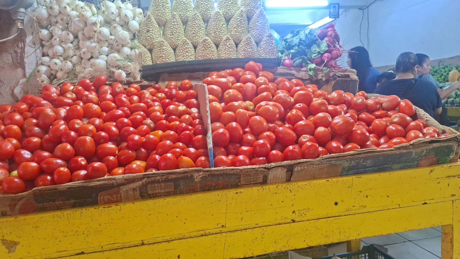 Tomates en una repisa para venta