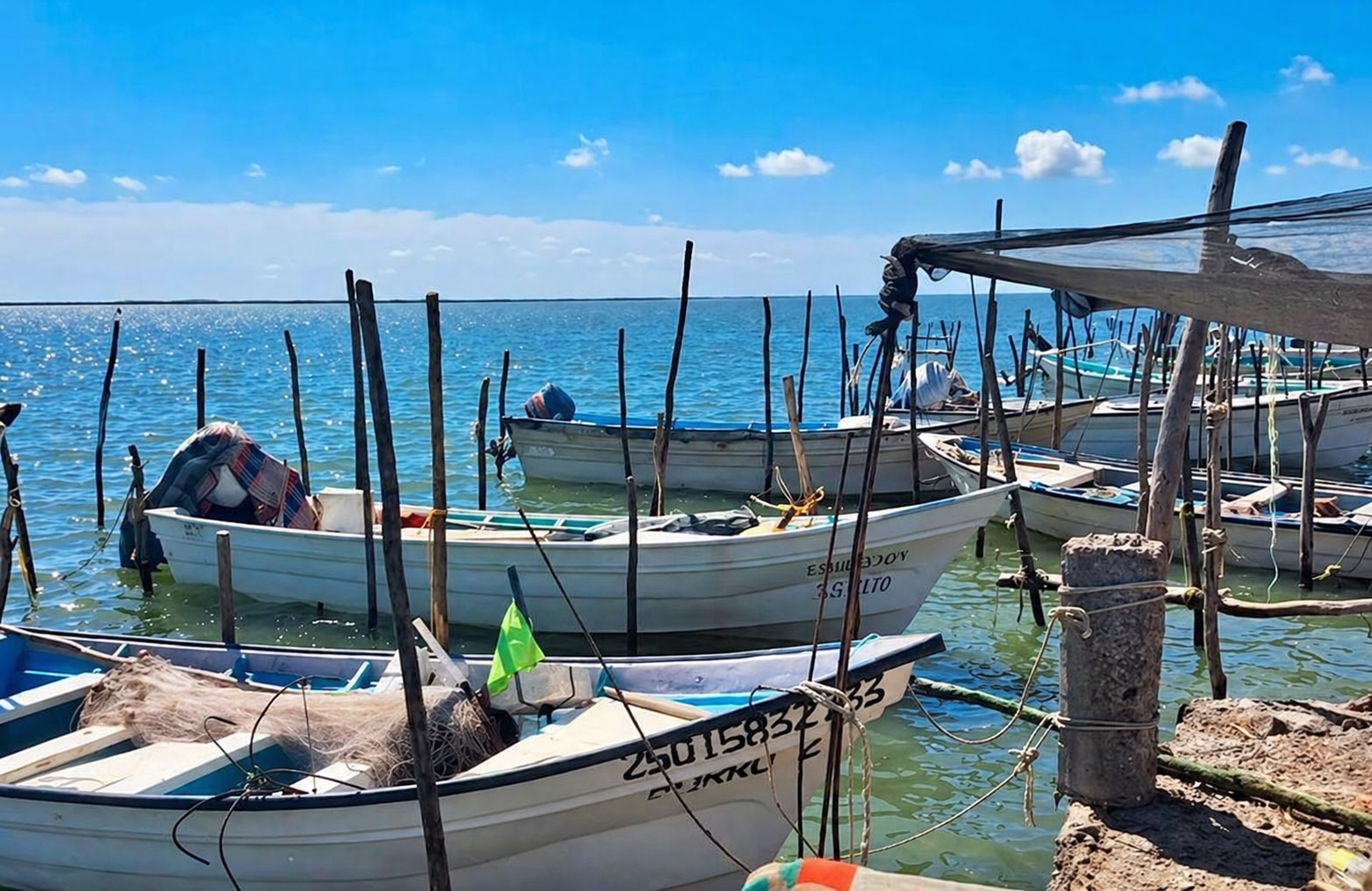 Pesca