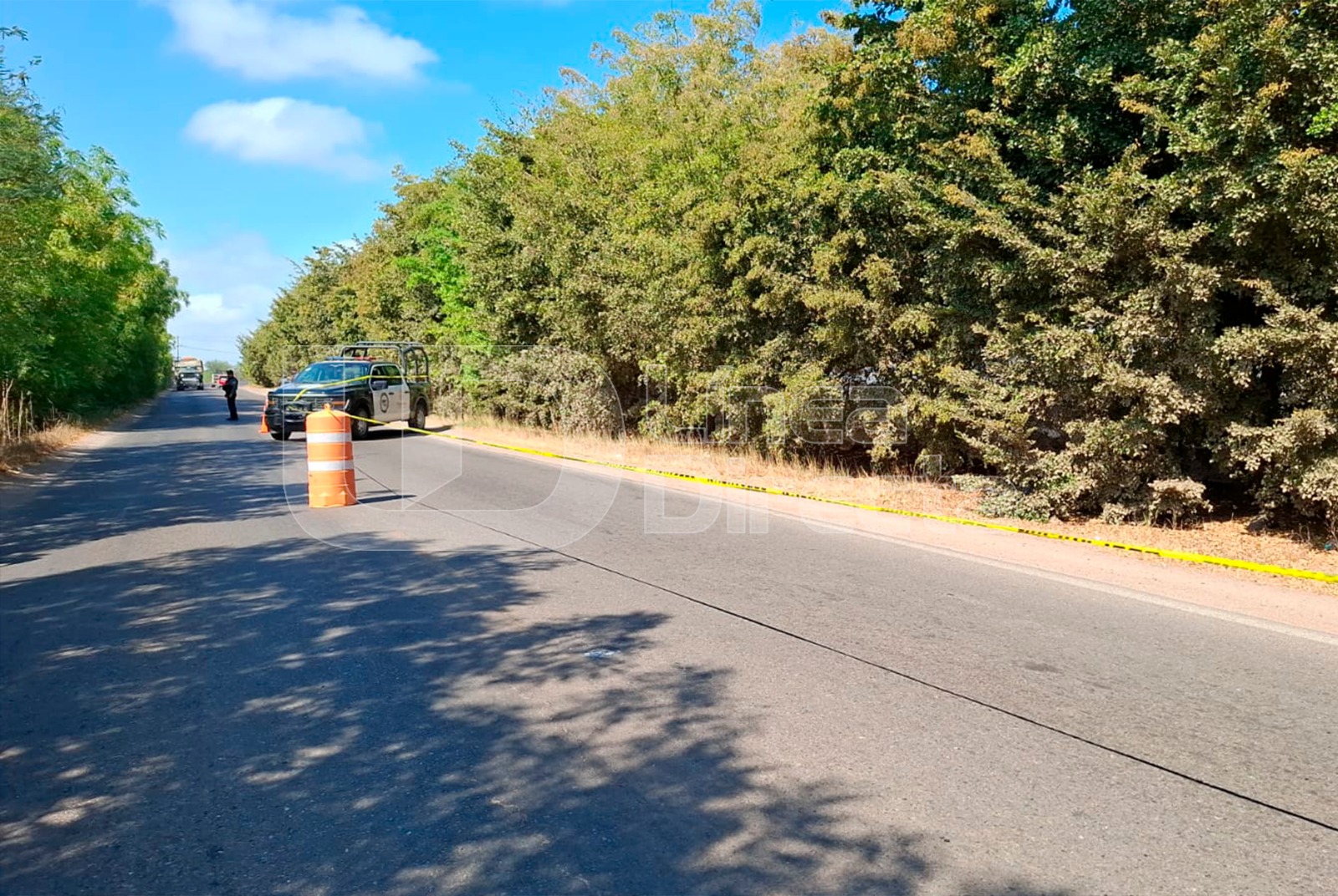 Unidad policiaca en una calle con una cinta amarilla y arboles a las orillas