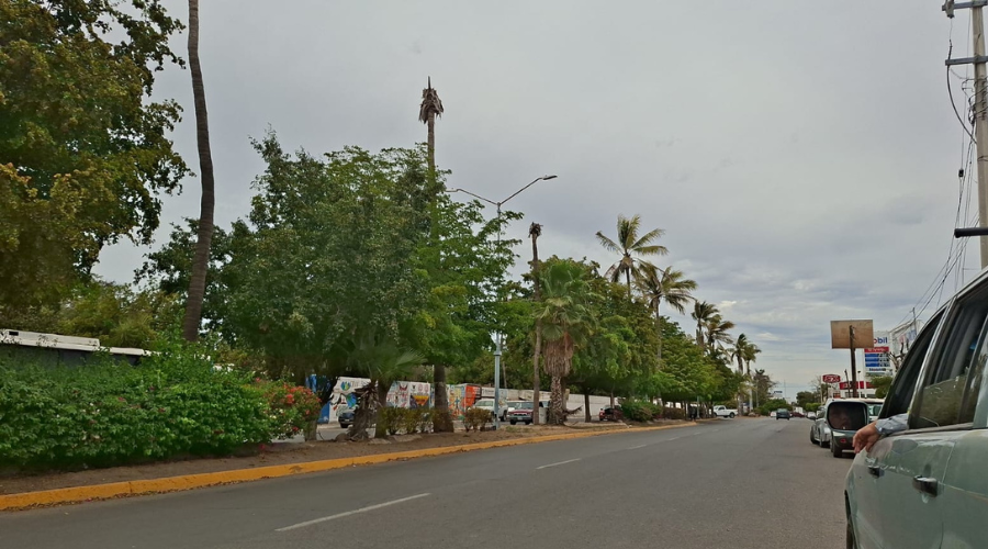 Calle de la ciudad de Guasave, Sinaloa
