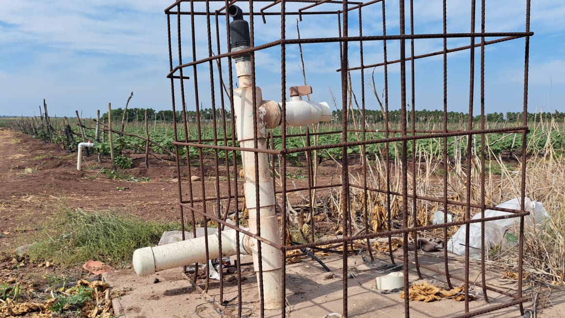 tierras de cultivo
