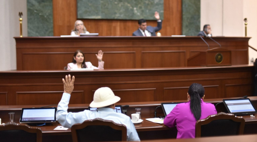 Juana Minerva Vázquez González, diputada de Morena.