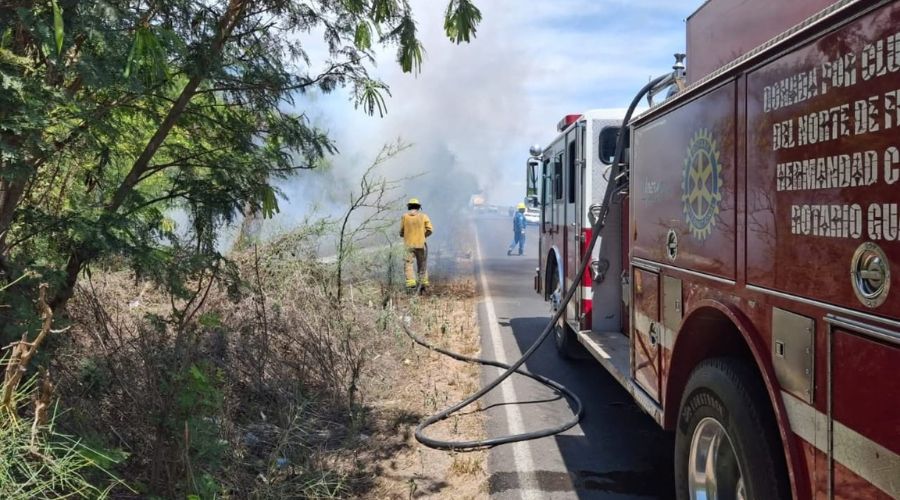 Unidad de bomberos y un elementos en una calle junto a ramas y árboles con humo saliendo al fondo