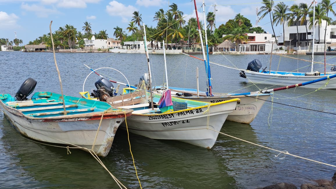 lanchas dentro del agua en mar