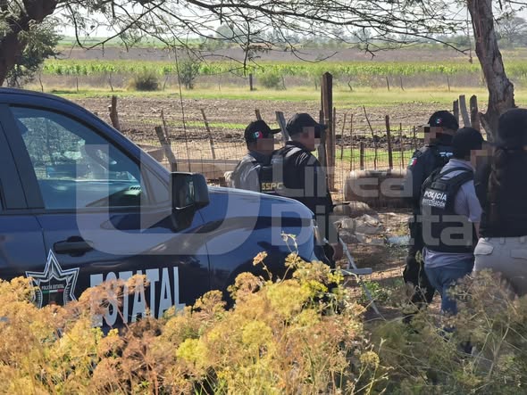 Unidad de elementos policiacos en una zpna de campo