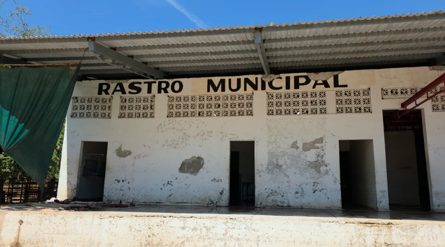 Rastro municipal en Salvador Alvarado