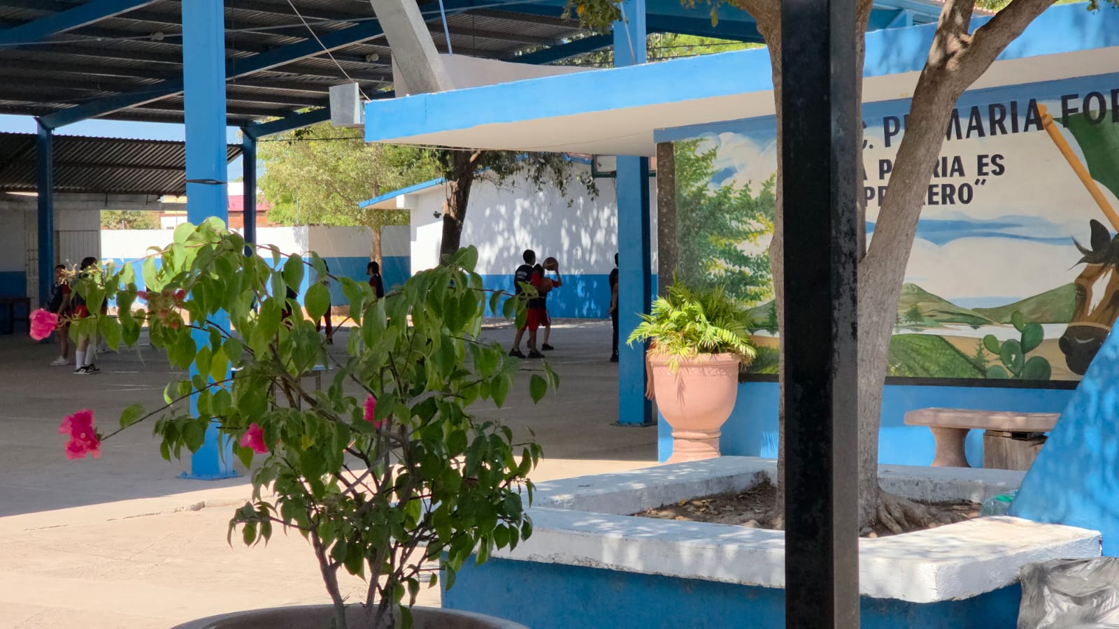 Escuela
