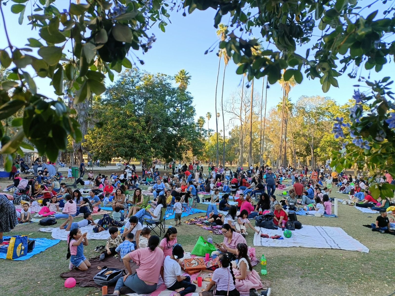Cine al aire Parque Sinaloa