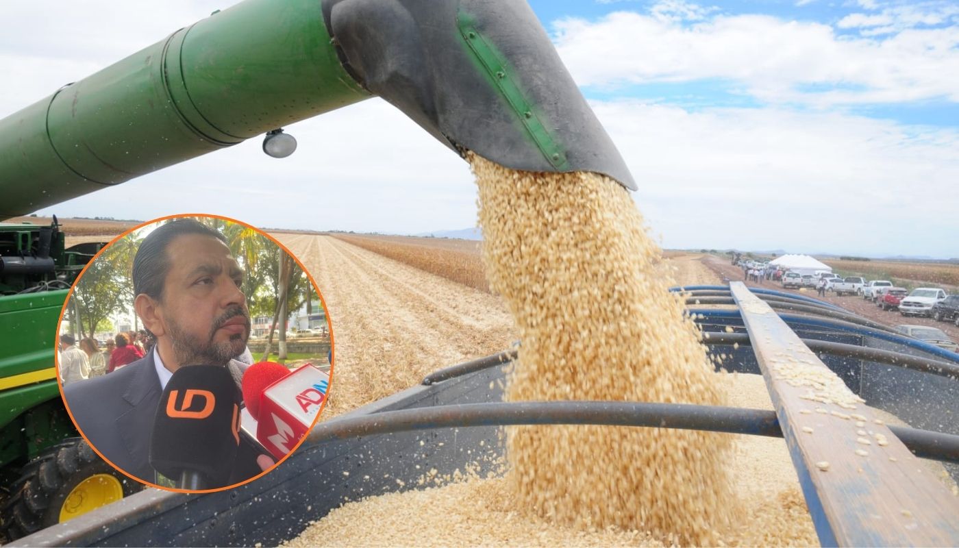 En grande maquinaria de campo trillando maíz y en circulo Ismael Bello