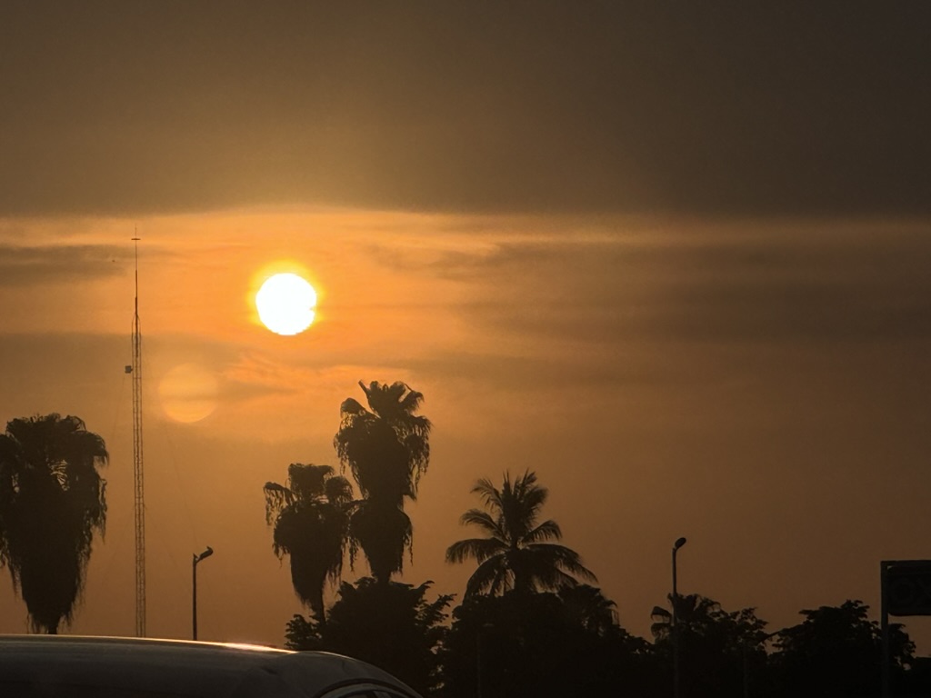 Cielo naranja con un fuerte sol y sombras de palmas