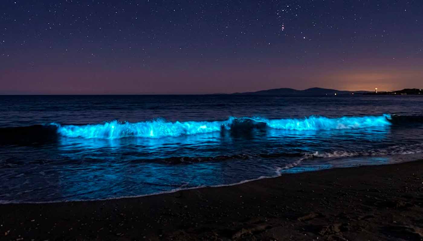 Playa con olas bioluminiscentes