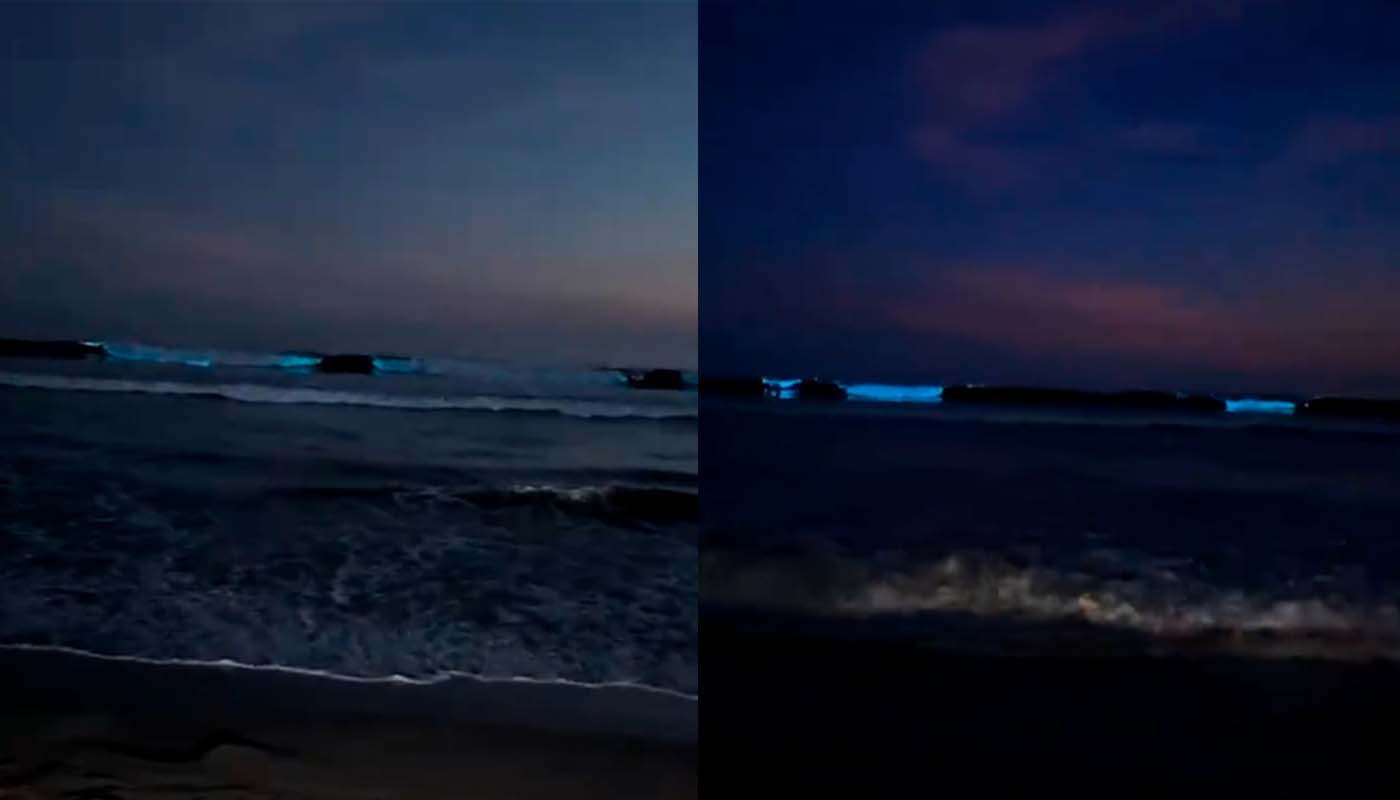 Oleaje bioluminiscente en playas de Guasave