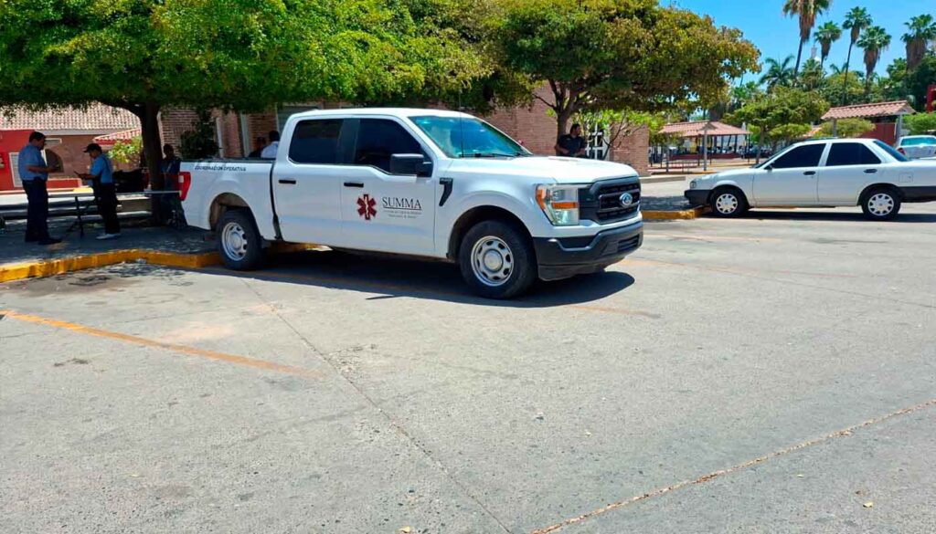 Camioneta de Summa en Plaza Fiesta Las Palmas