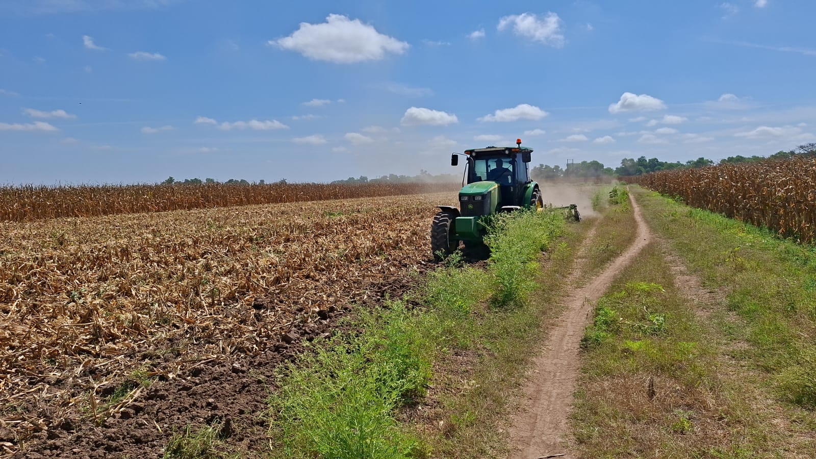 Campo agrícola en Sinaloa.