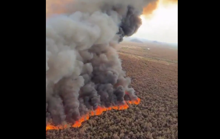Incendio forestal en Arizona