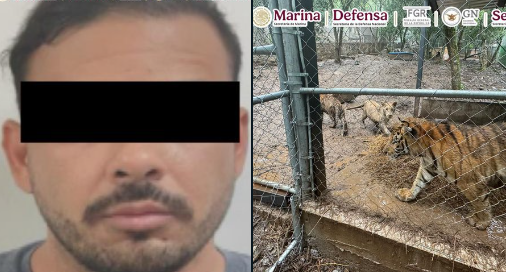 Detenido en Nuevo León
