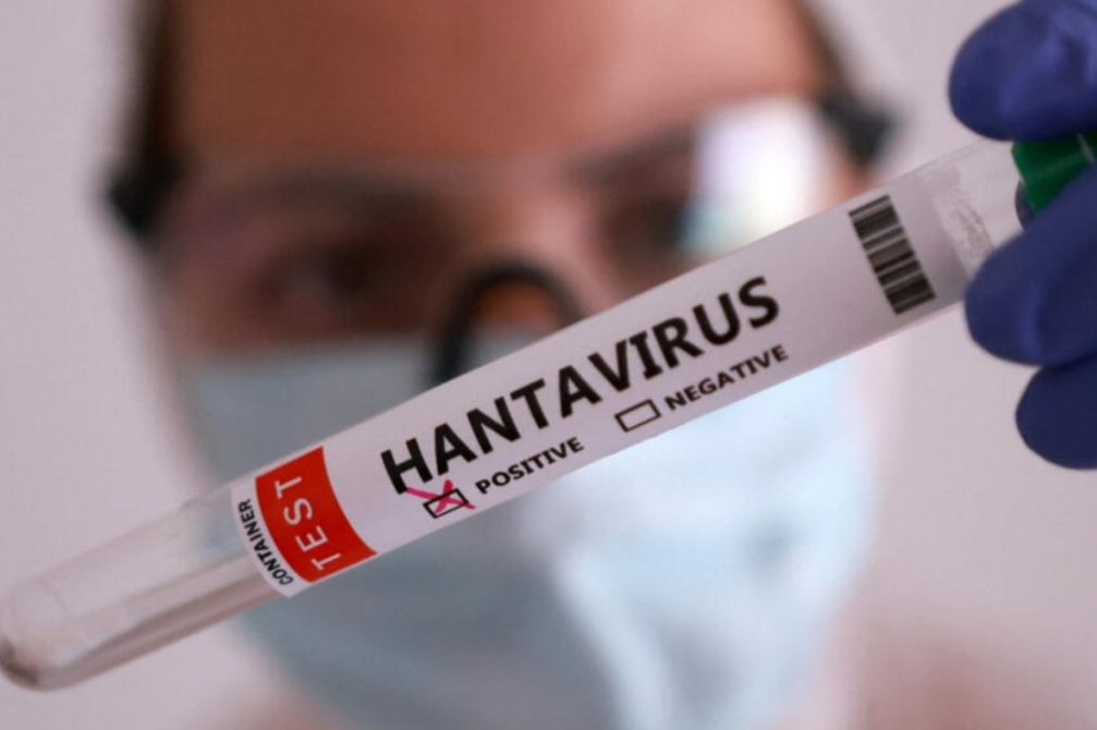 OMS advierte riesgo de más casos de hantavirus por largo periodo de incubación
