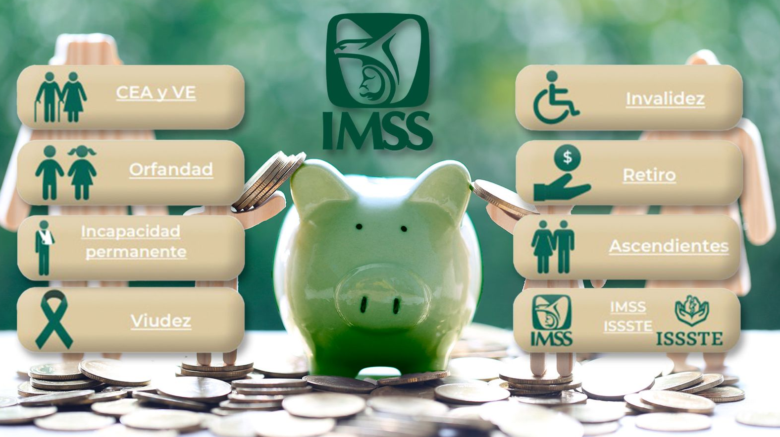 ¿Qué pensión puedes pedir en el IMSS? Conoce requisitos y modalidades