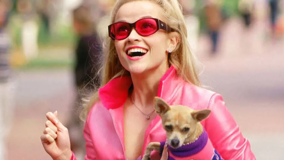 Elle Woods regresa a la pantalla grande por el aniversario de Legalmente Rubia; aquí los detalles