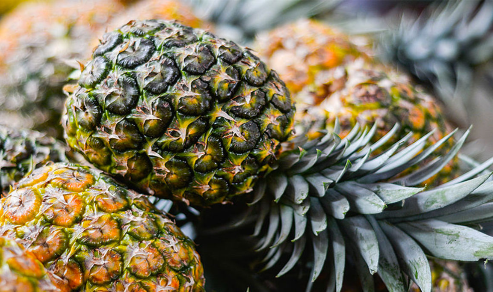 Piñas