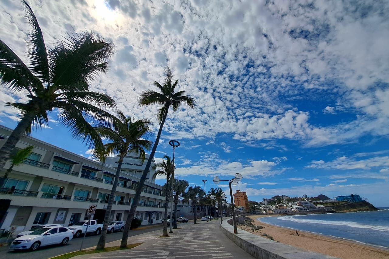 Cielo soleado con nubes y palmeras