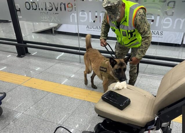 Aseguran más de 8 kilos de cocaína oculta en silla de ruedas durante inspección en el AICM