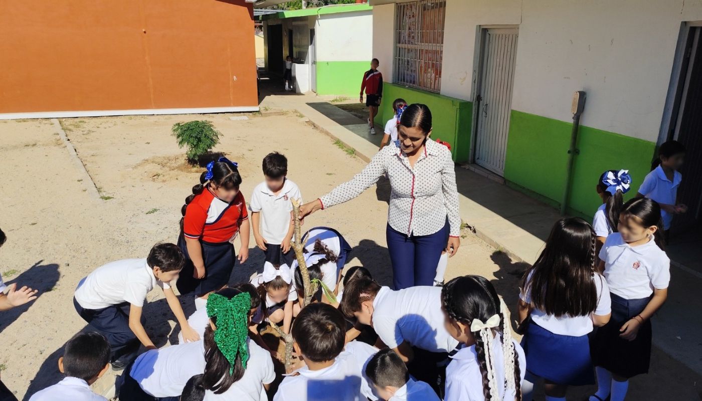 niños/alumnos plantando un árbol en una escuela