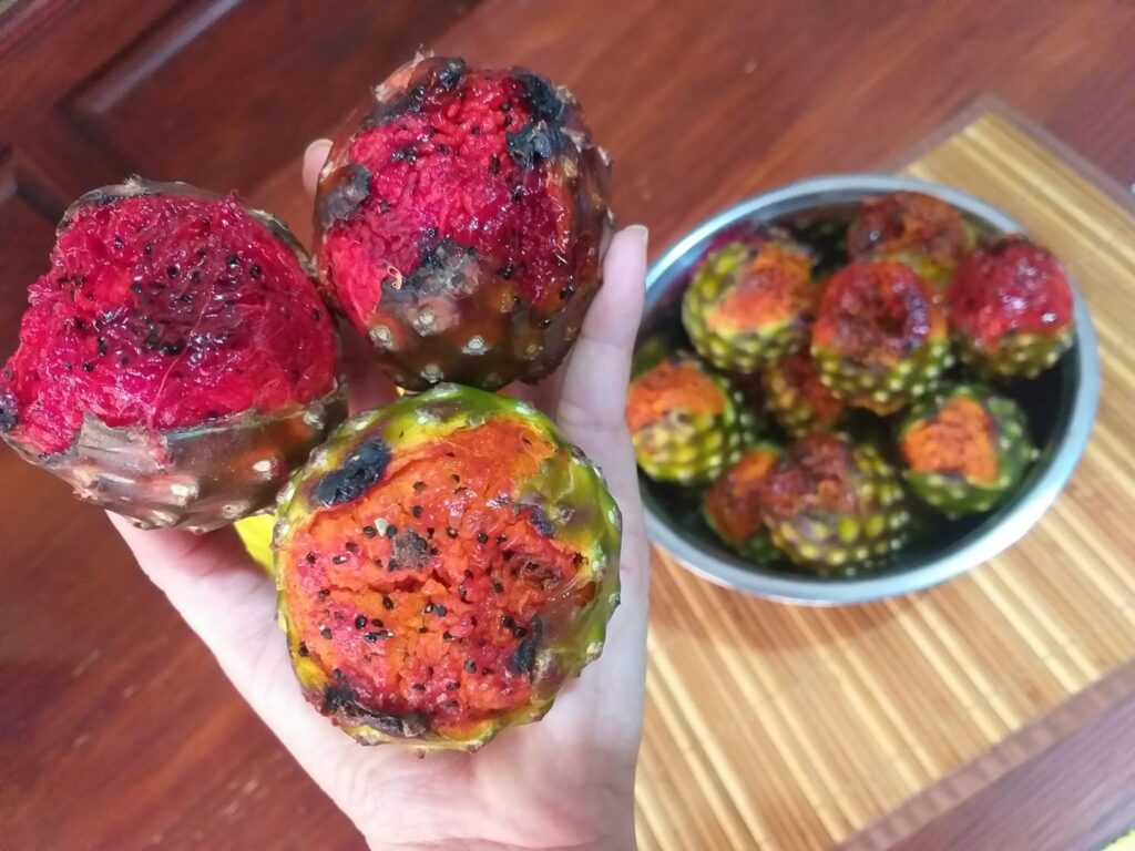 Tres pitahayas en la mano junto a un frasco