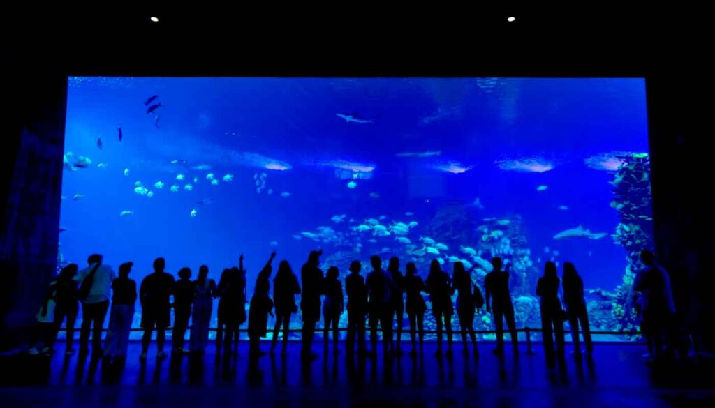 Gran Acuario de Mazatlán-3
