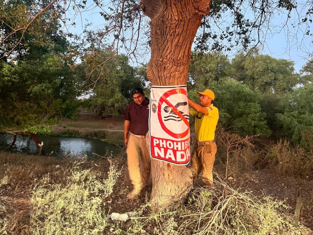 Árbol con una lona que advierte peligro de nadar