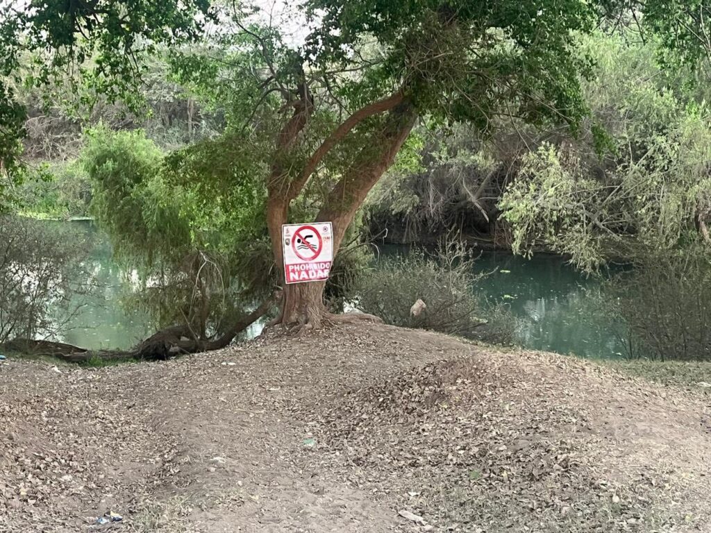 Árbol con una lona de peligro en el río