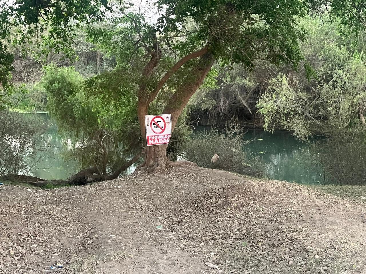 Árbol con una lona de peligro en el río