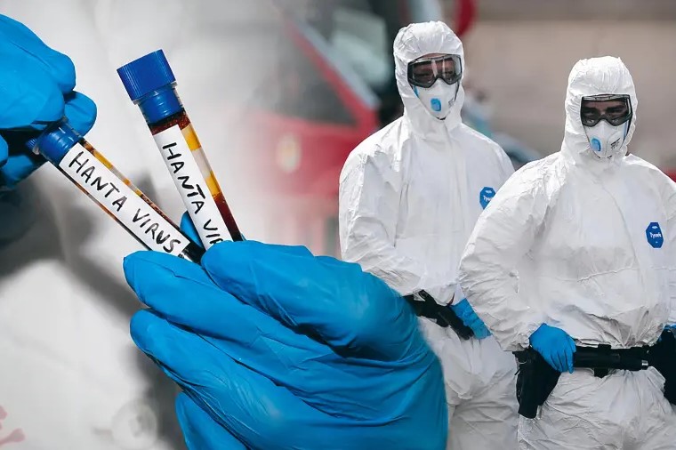 Científicos en Argentina capturan 150 roedores para indagar origen del brote de hantavirus