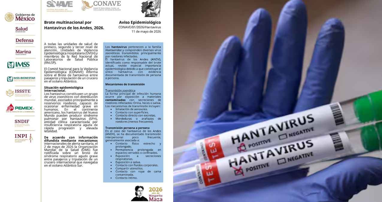 Hantavirus