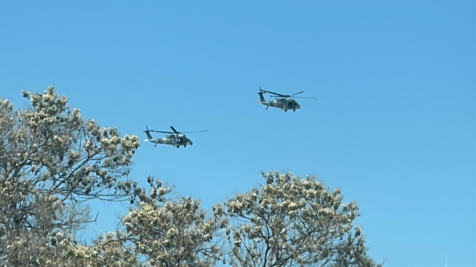 Helicópteros de fuerzas armadas
