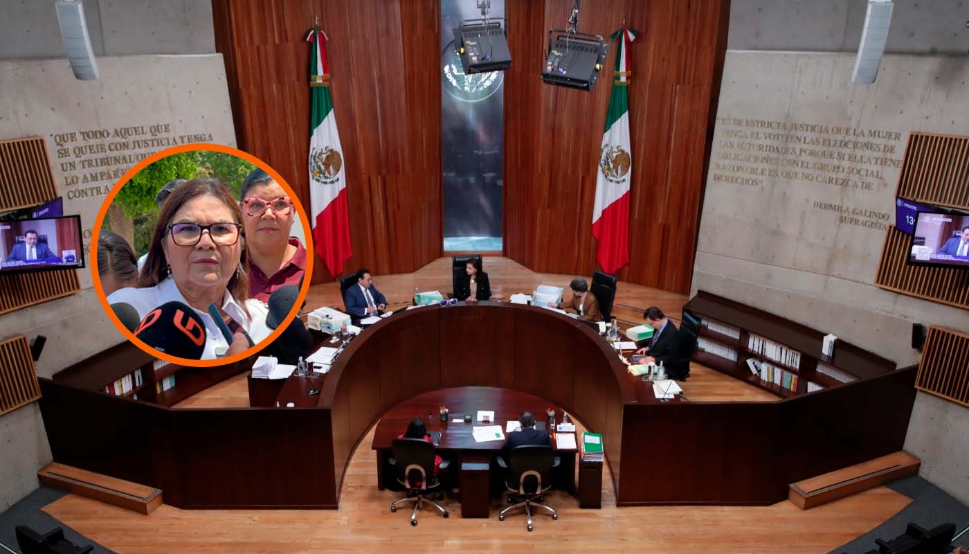 Senadora Imelda Castro Castro y Tribunal Electoral del Poder Judicial de la Federación