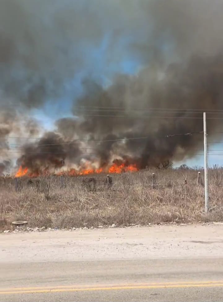 Fuego y humo negro con maleza