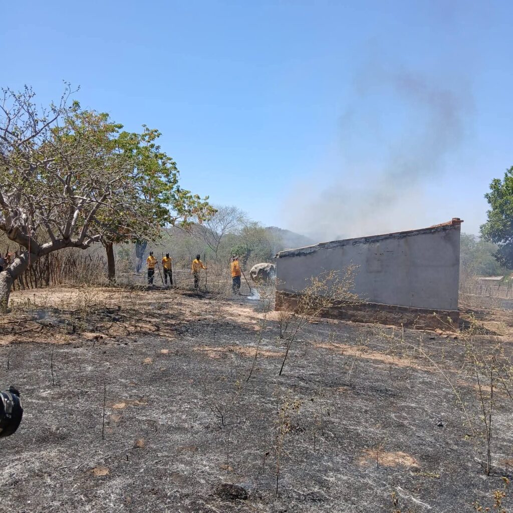 Maleza incendiada junto a una casa y bomberos