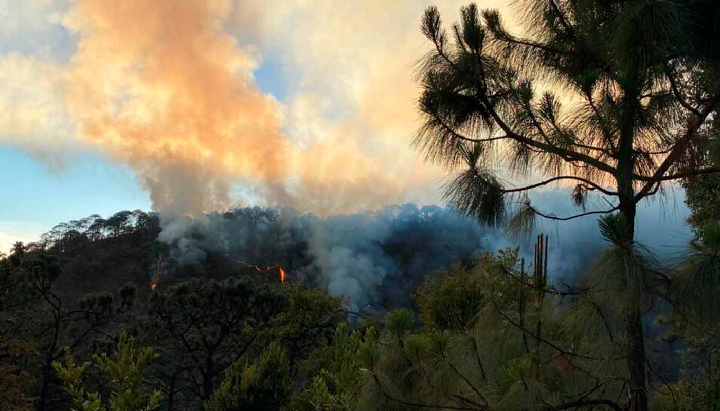 Incendio forestal en Sinaloa