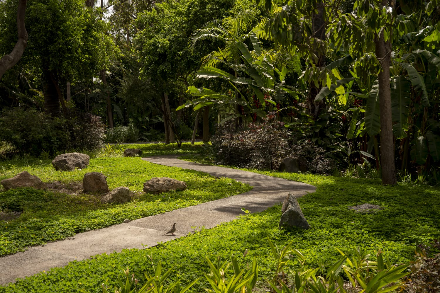 Jardín Botánico de Culiacán