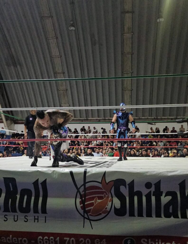Luchadores arroba de un ring